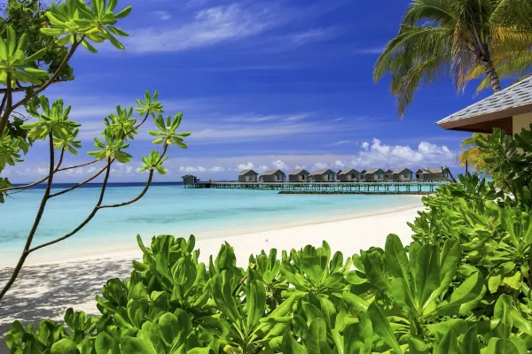 Centara Ras Fushi Resort & Spa Maldives