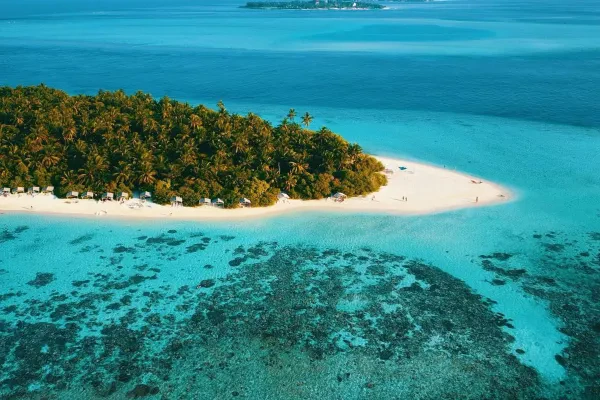 Plumeria Maldives